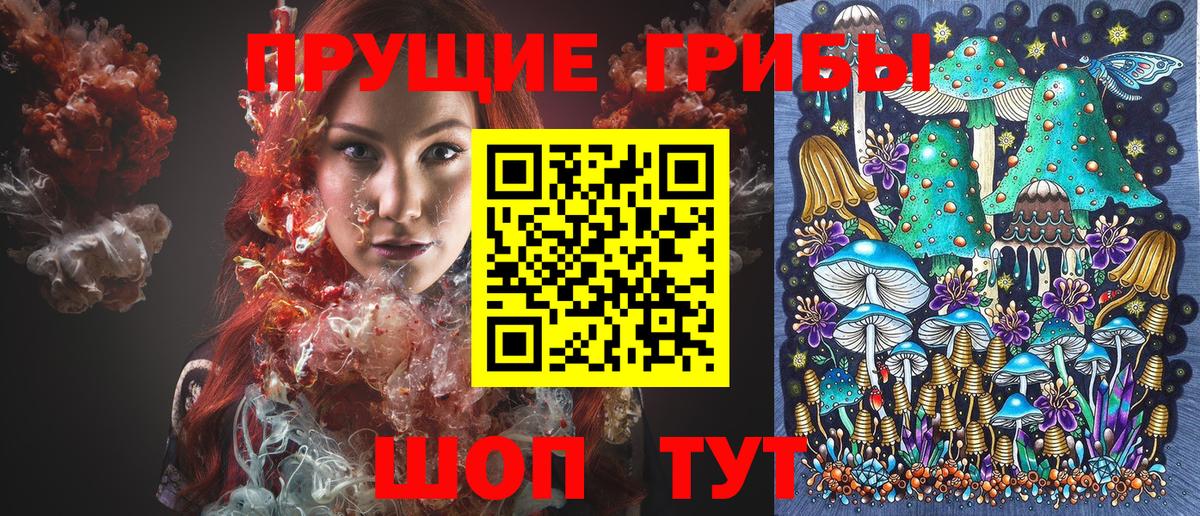 Кизилюрт  Галлюциногенные грибы Magic Shrooms  закладки  Вход с VPN 